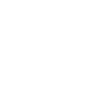 sample logo 2
